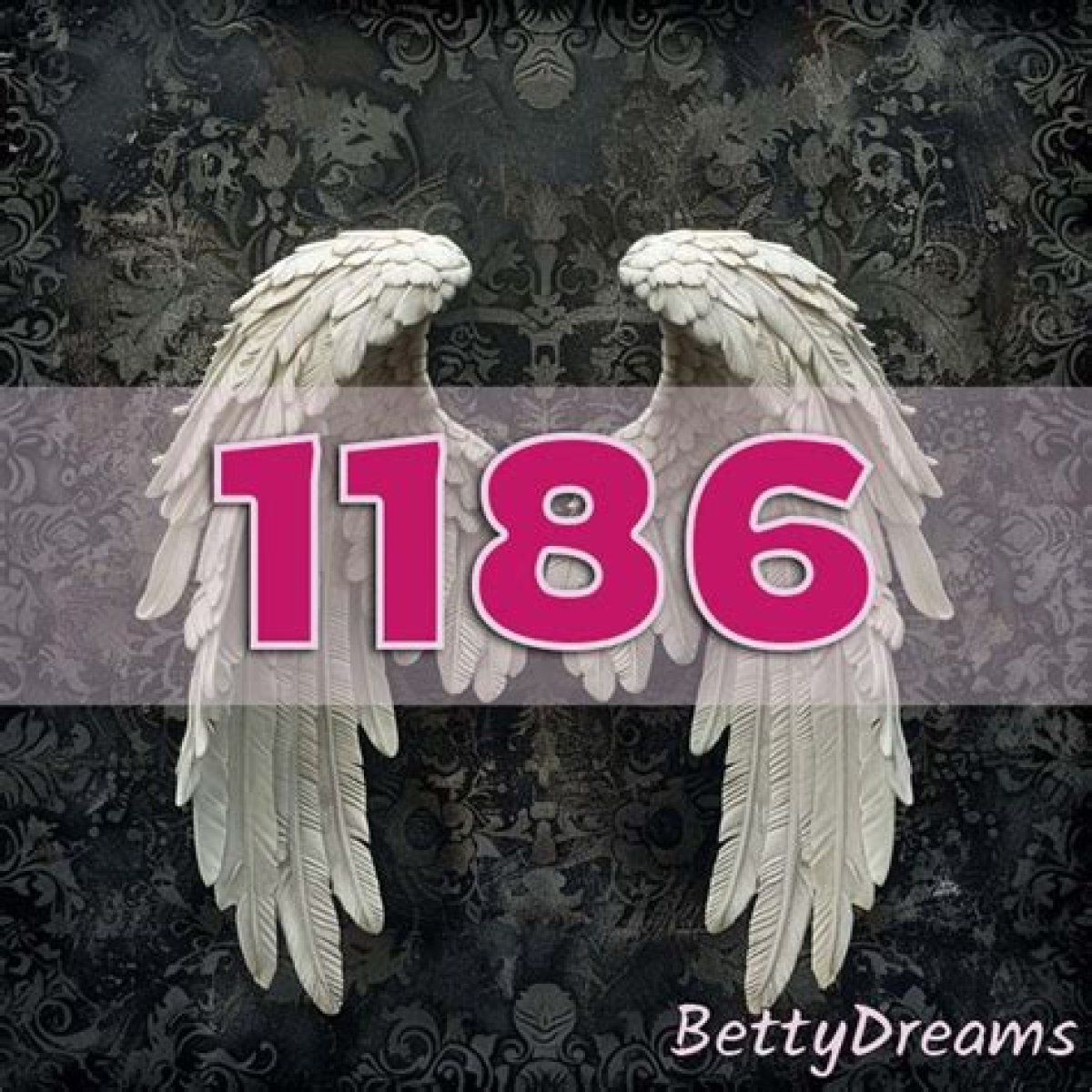 
ANGEL NUMBER 1186
