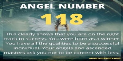 
ANGEL NUMBER 118

