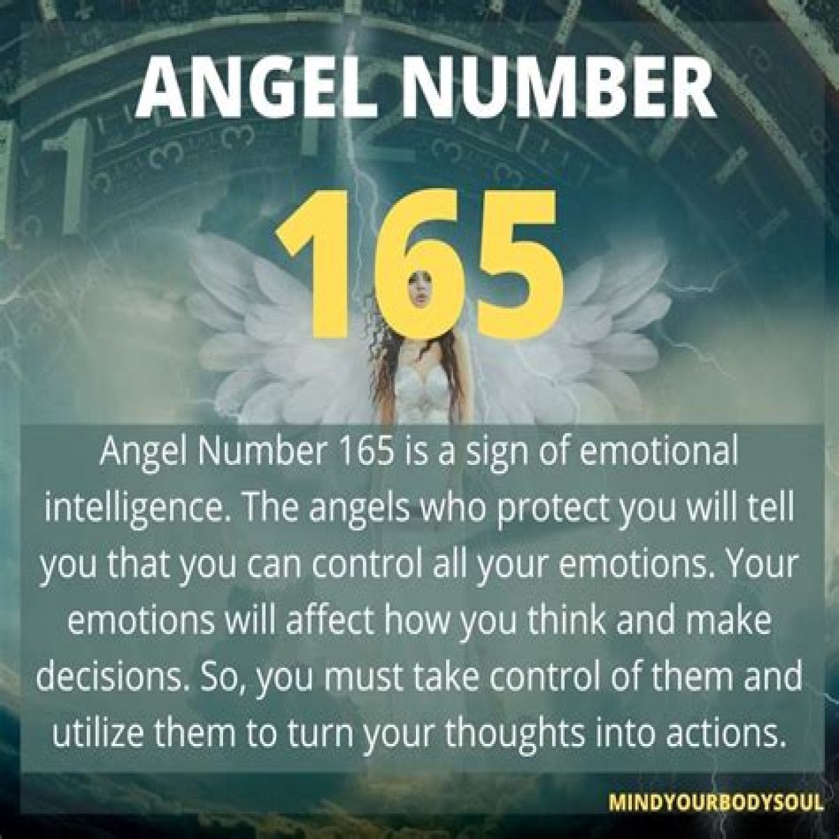 
ANGEL NUMBER 165
