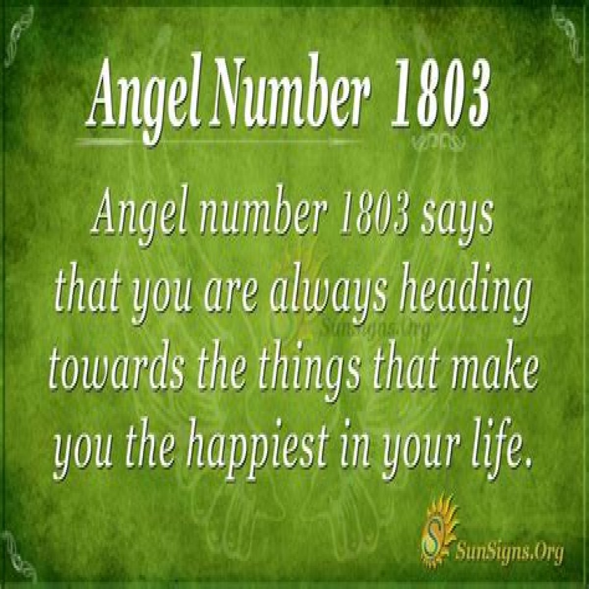 
ANGEL NUMBER 1803
