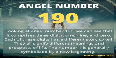 
ANGEL NUMBER 190
