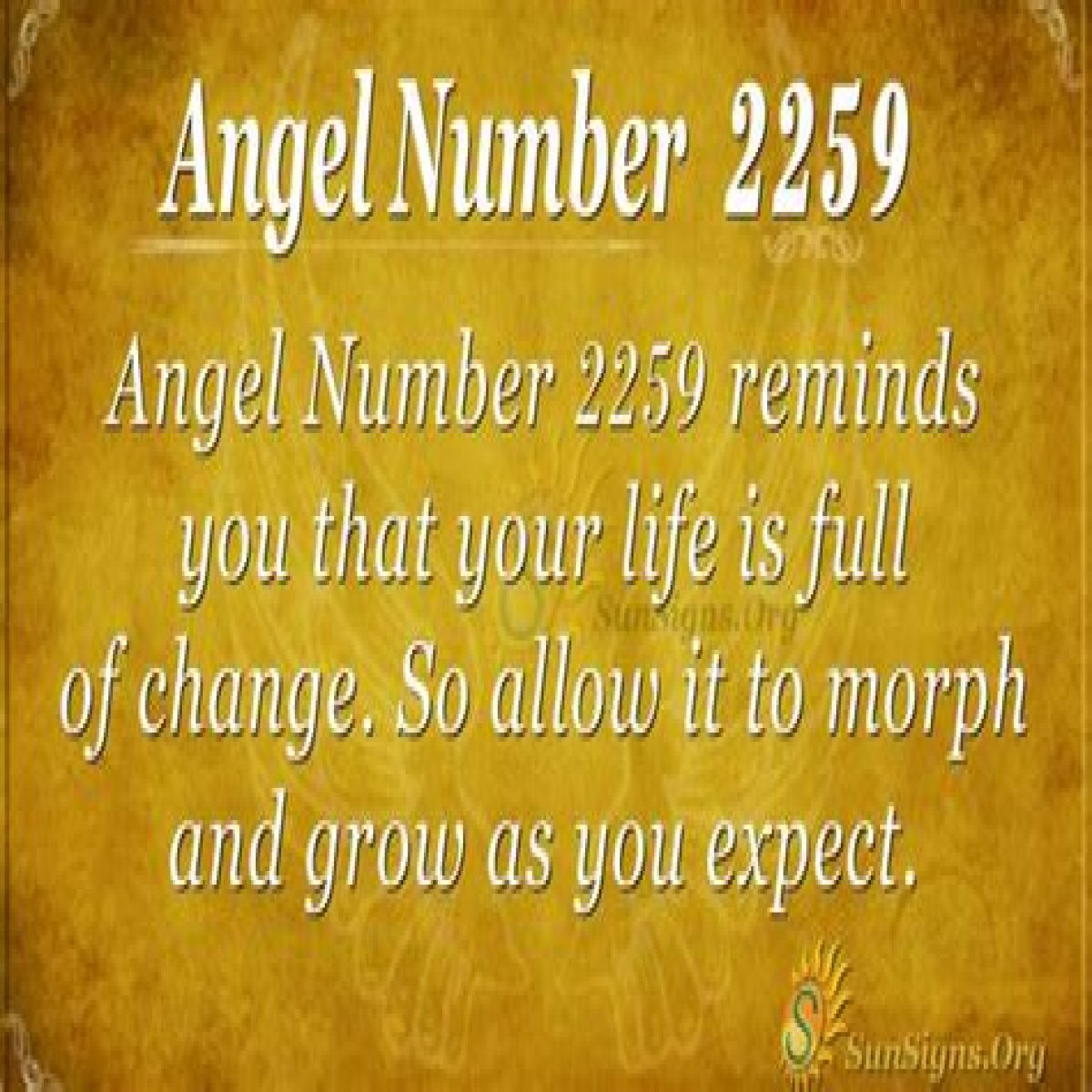 
ANGEL NUMBER 2259
