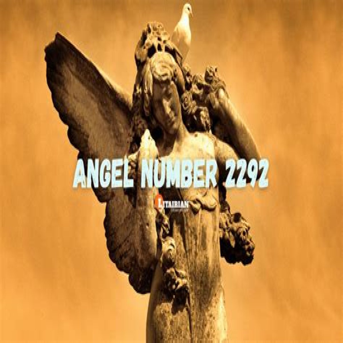
ANGEL NUMBER 2292
