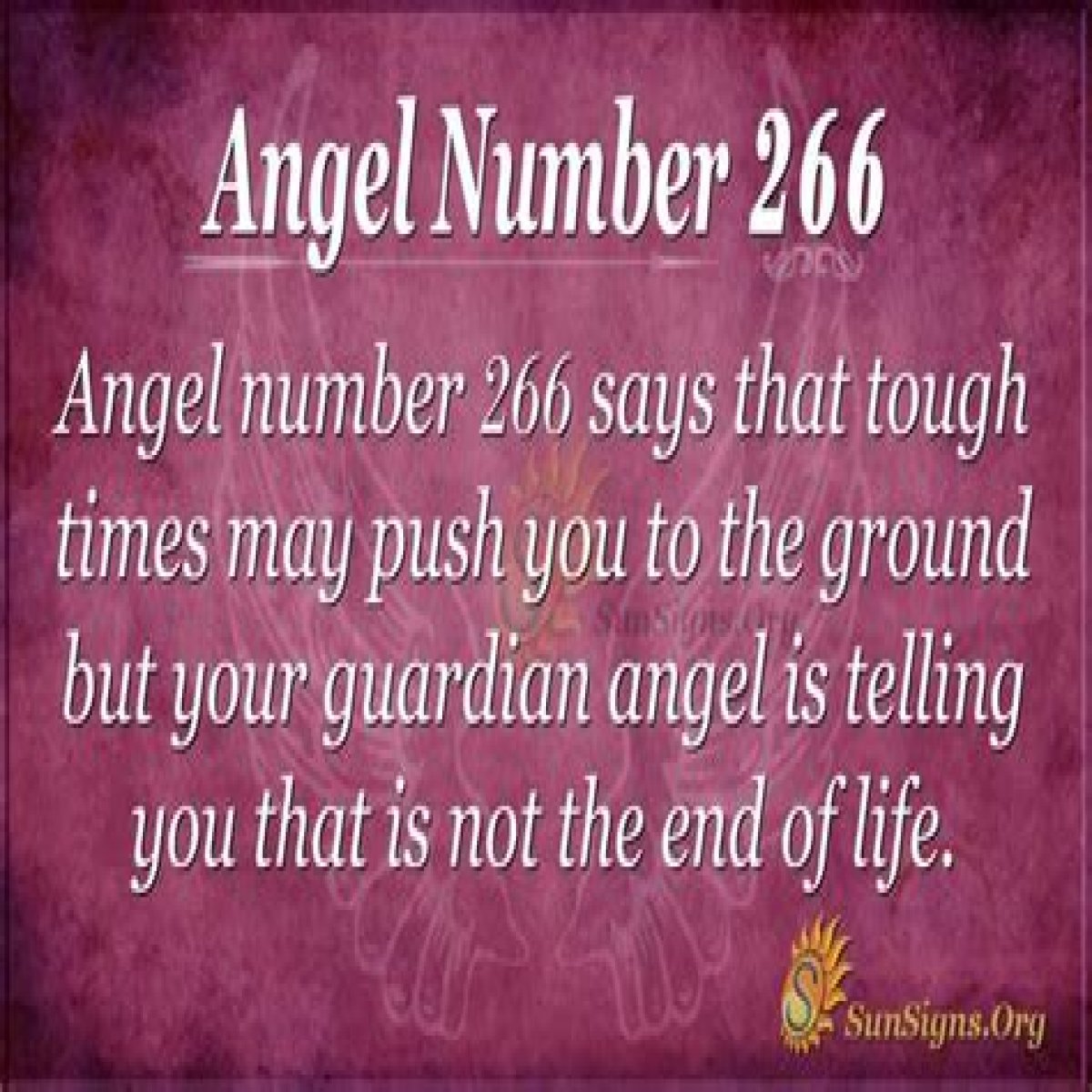 
ANGEL NUMBER 266

