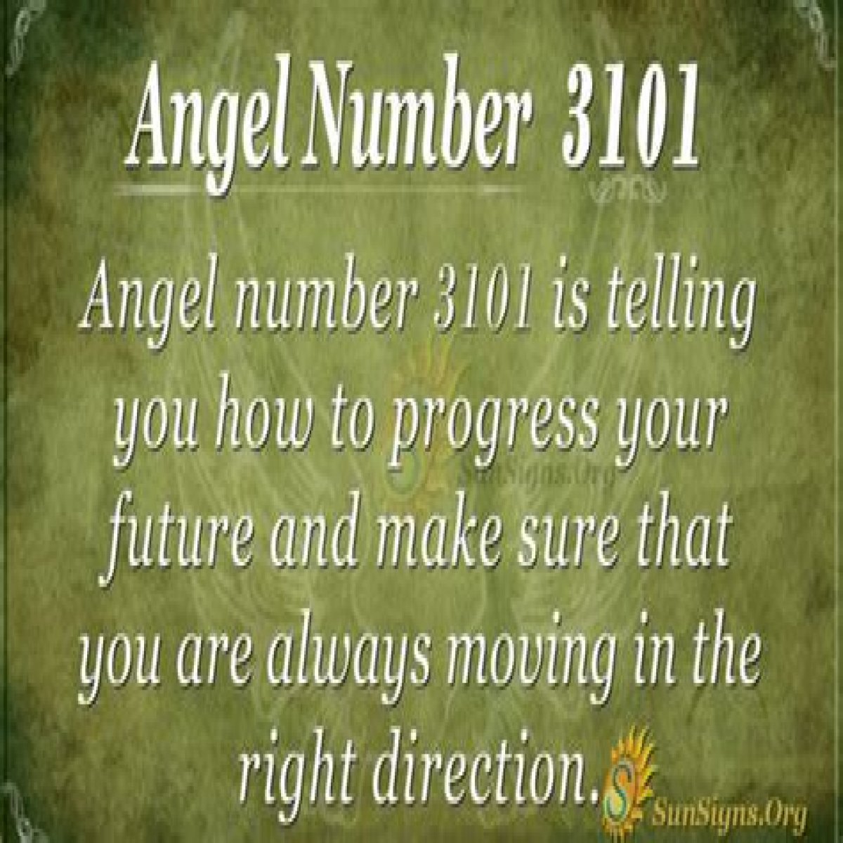
ANGEL NUMBER 3101
