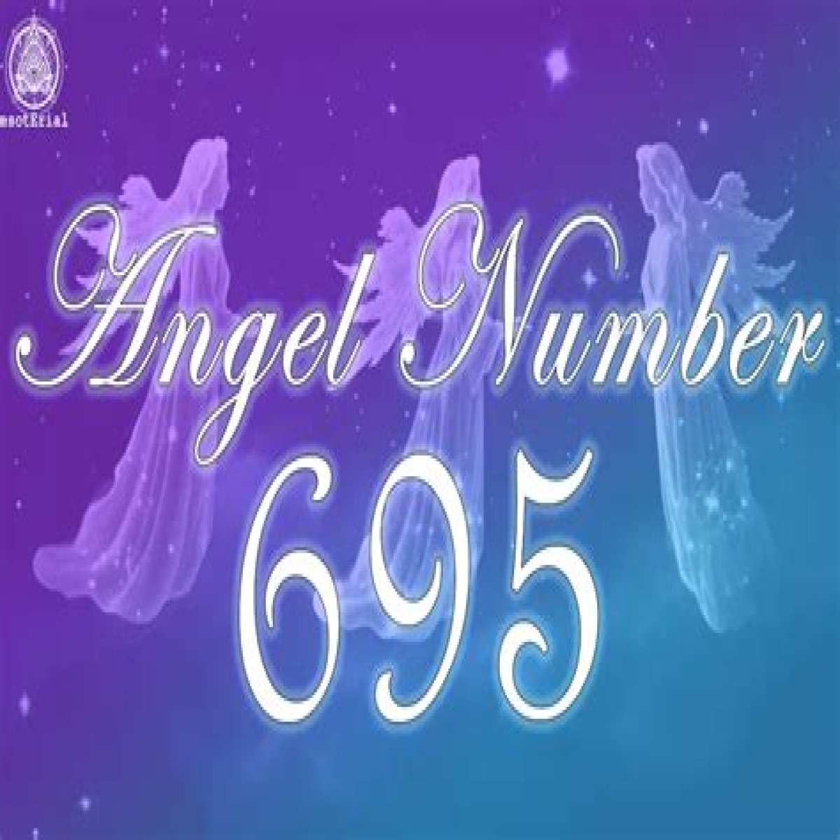 
ANGEL NUMBER 695
