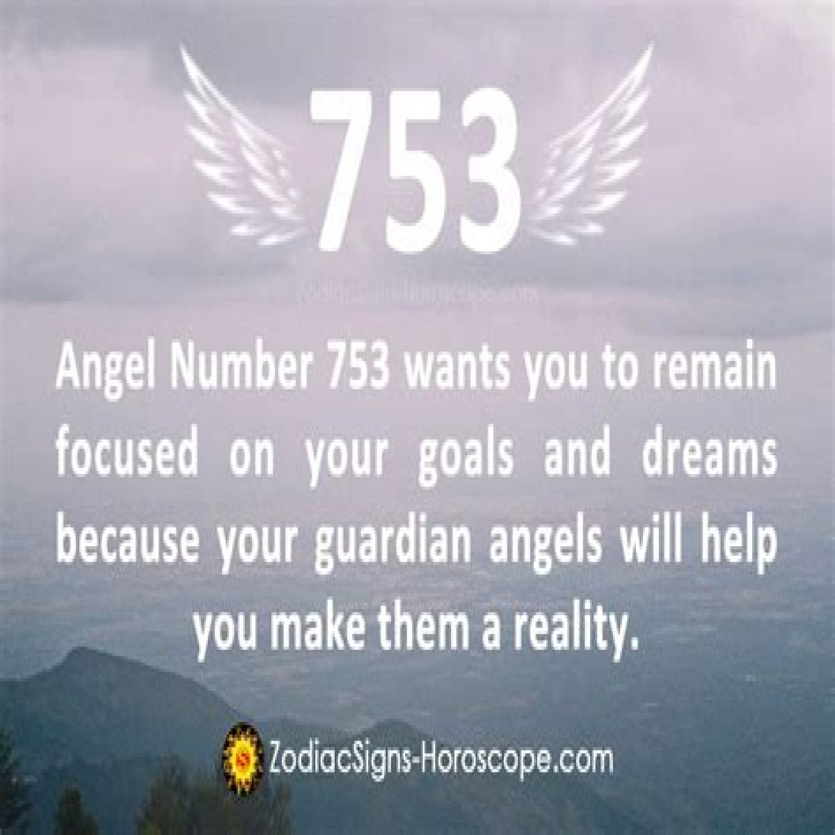 
ANGEL NUMBER 753
