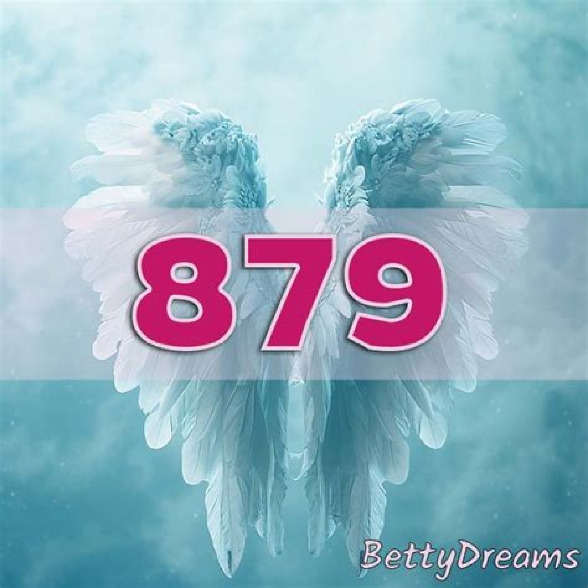 
ANGEL NUMBER 879
