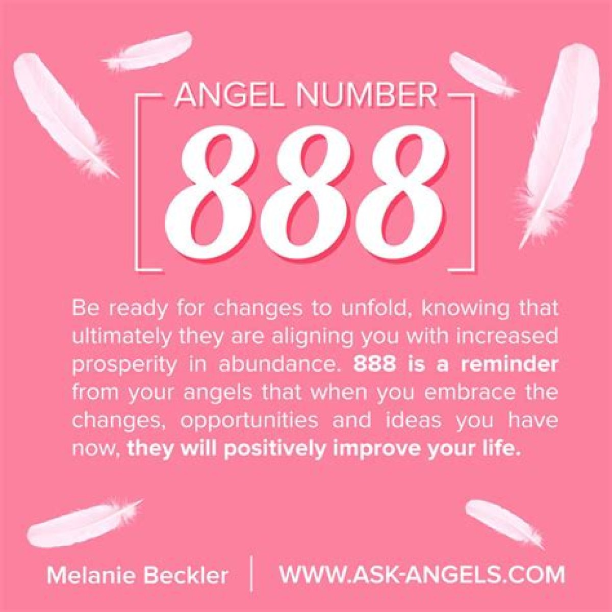 
ANGEL NUMBER 888
