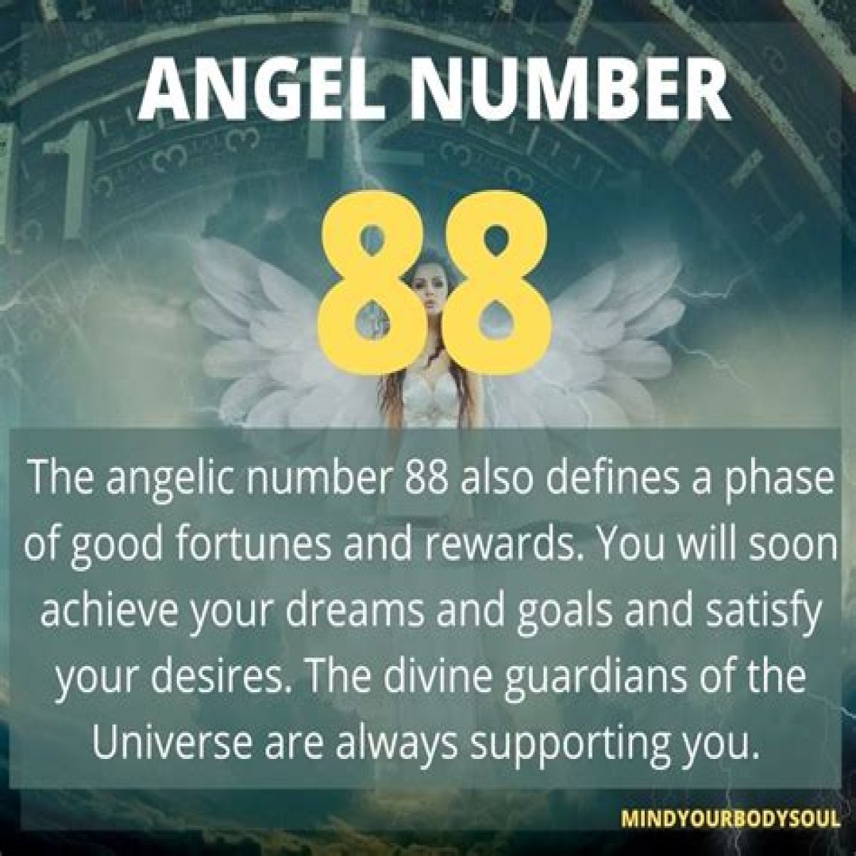 
ANGEL NUMBER 88
