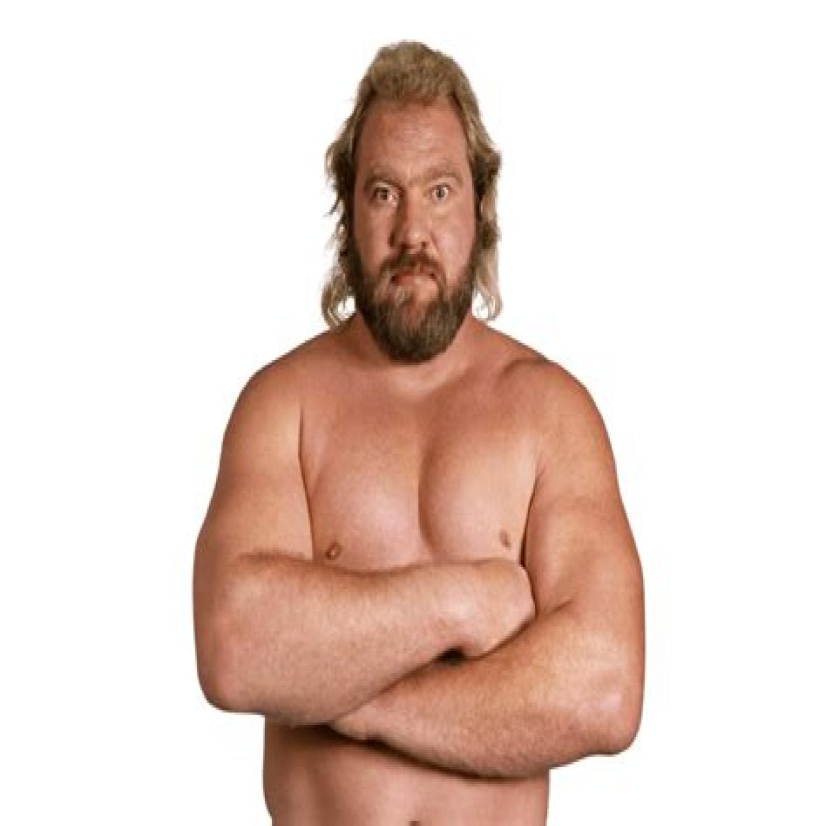 Big John Studd