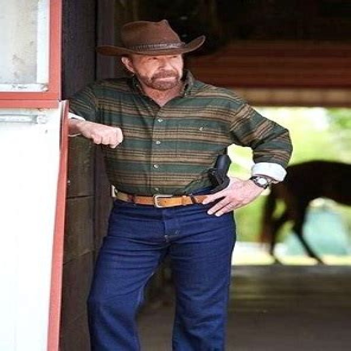 Chuck Norris Height