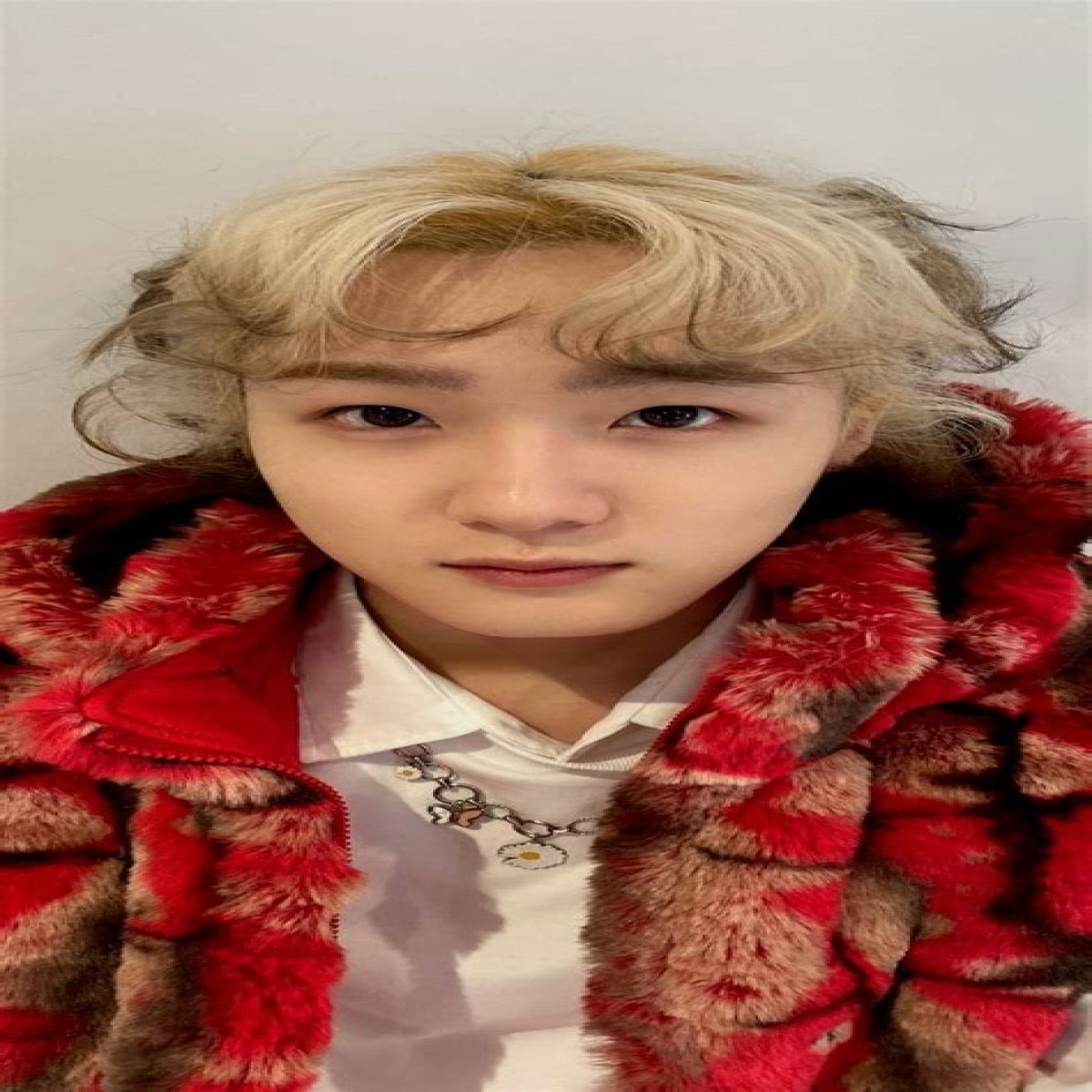 Haku Shota (Soul P1HARMONY) Bio, Height, Net Worth, Profile & More