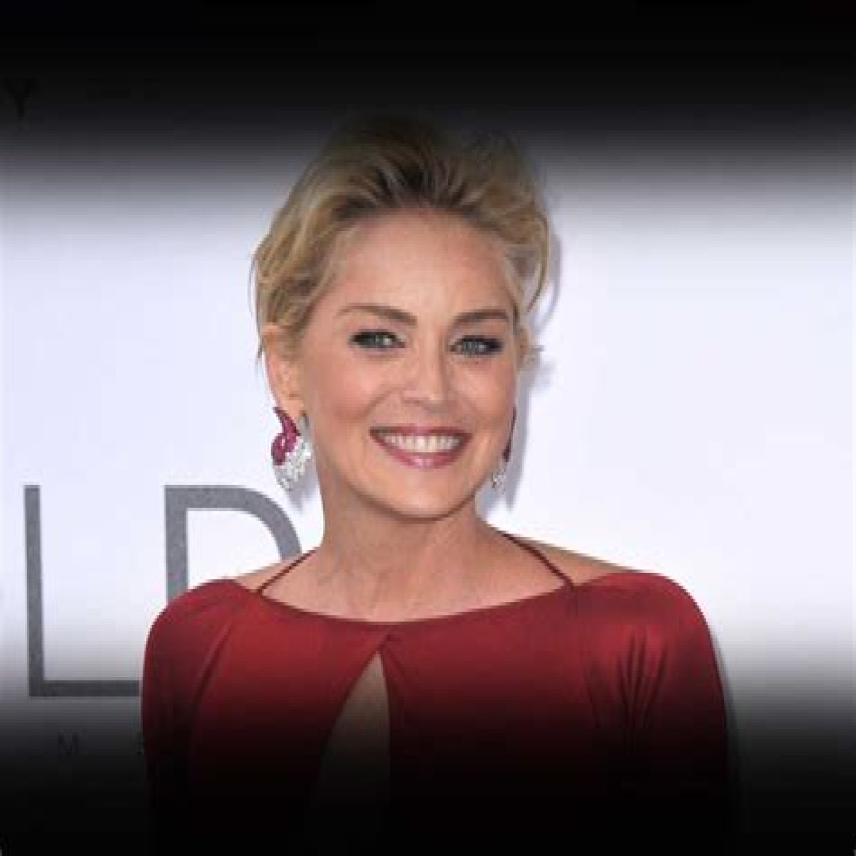 Sharon Stone Net Worth in 2023 How Rich is She Now?