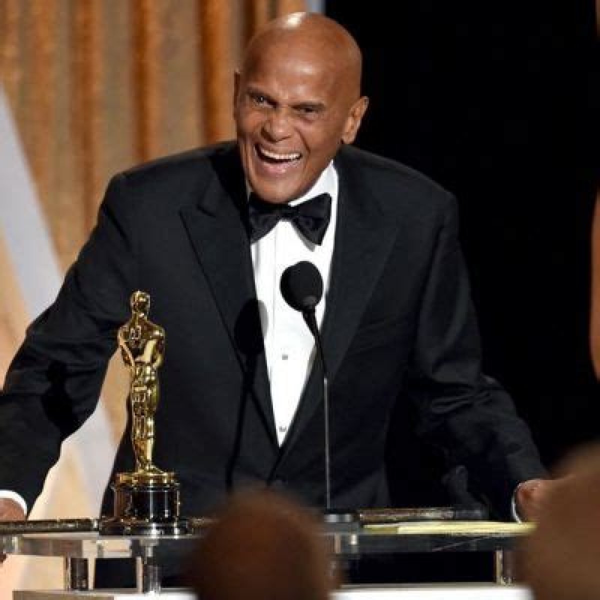 Stephen Belafonte - Bio, Age, net worth, Wiki, Facts and Family