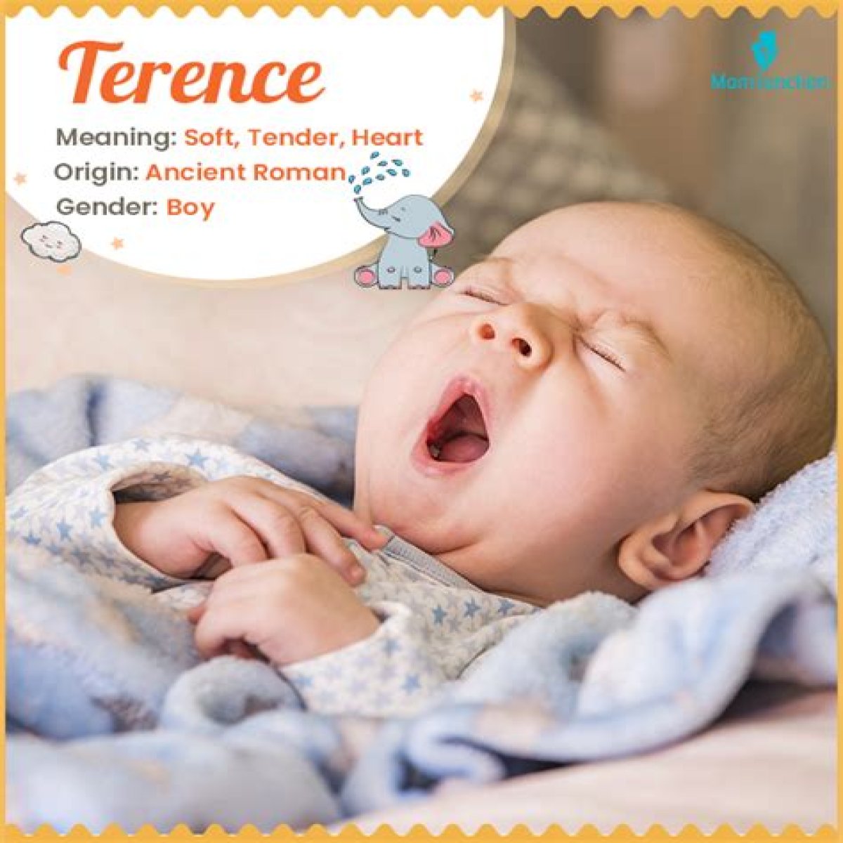 What does Terence mean?