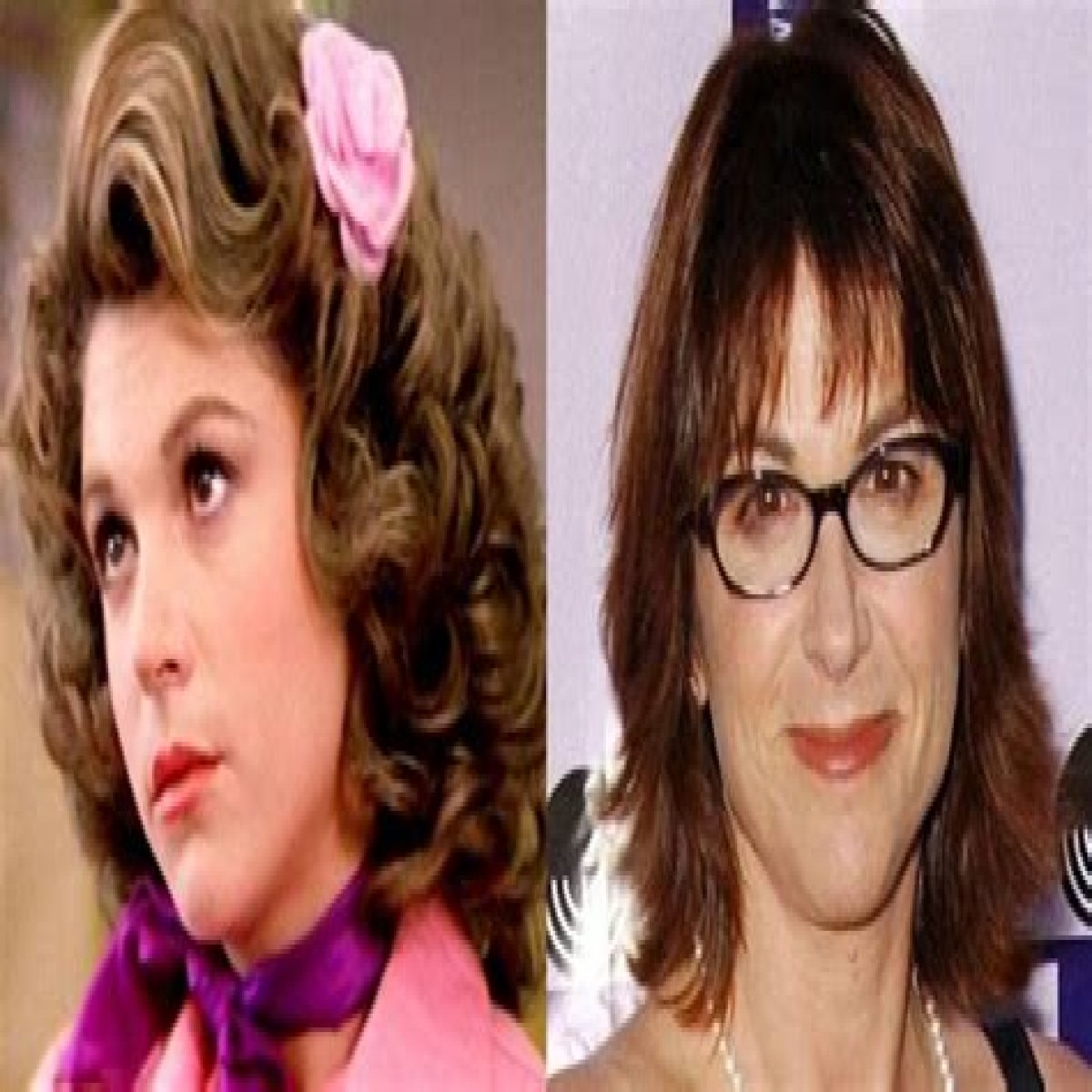 Who is Dinah Manoff Dating Now?