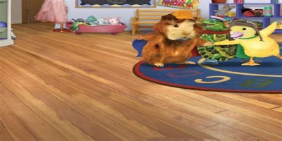 Wonder Pets - Nickelodeon - Watch on Paramount Plus